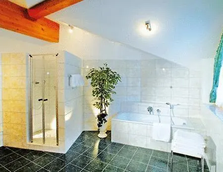Tonis Am Achensee Aparthotel 4*